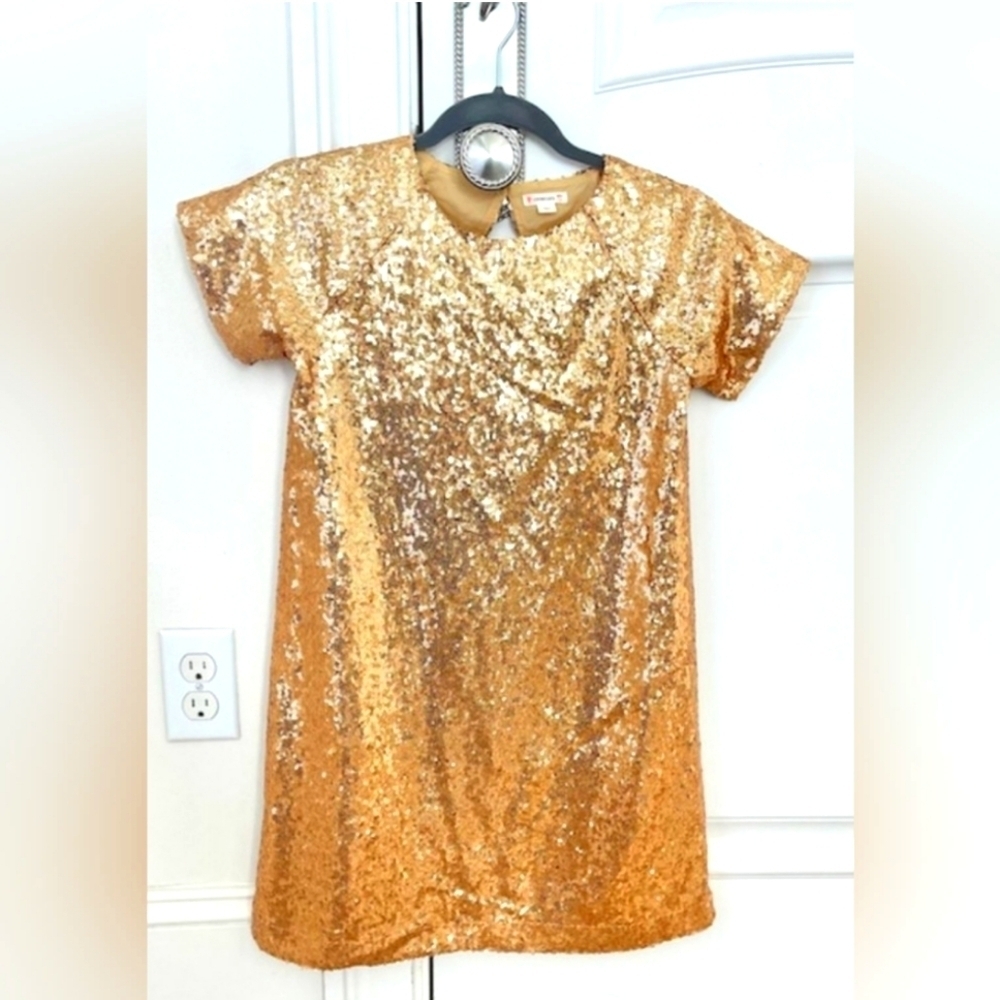 J.Crew crewcuts Girls Sequin Dress